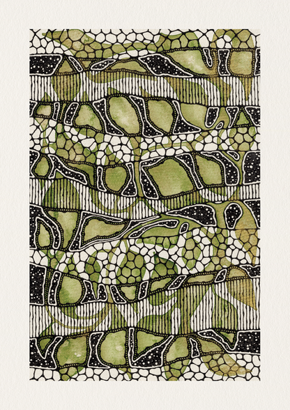 The Green Leaves - Art Print
