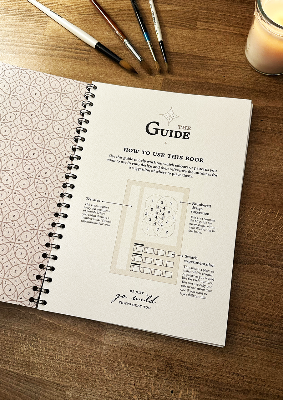 The Guided Illustrations Book