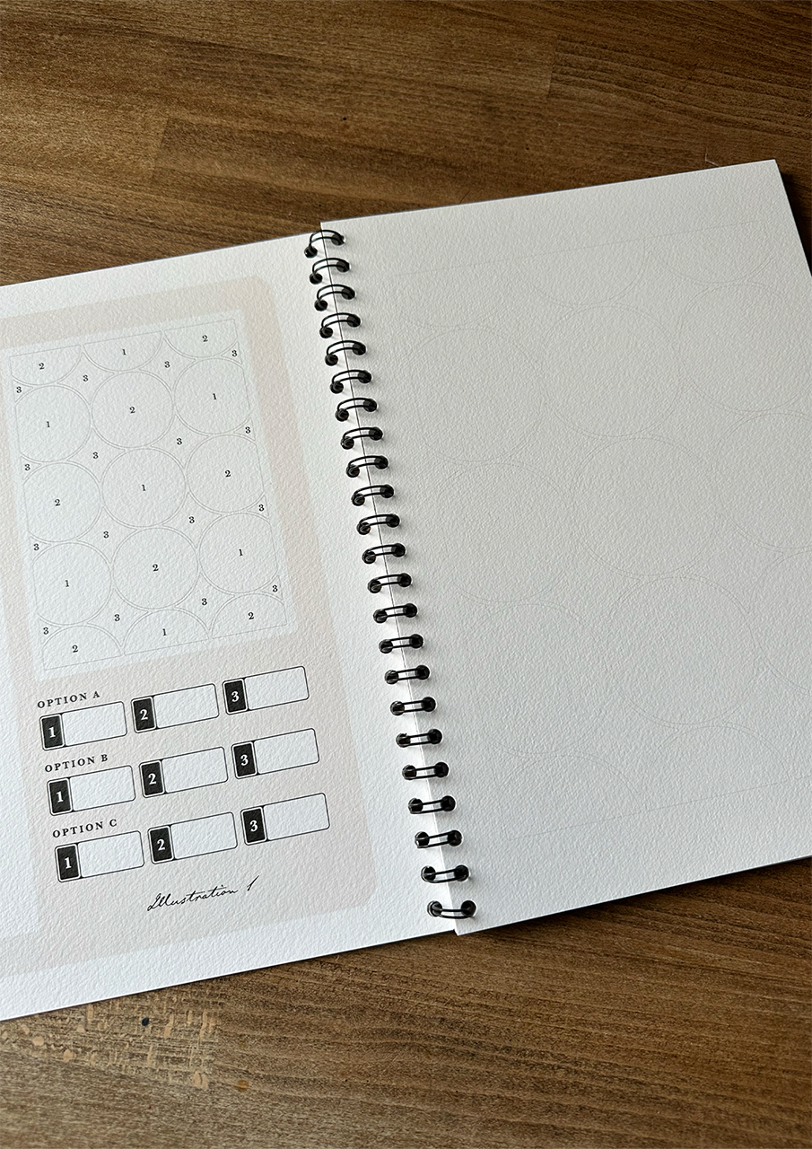 Studio Seconds - The Guided Illustrations