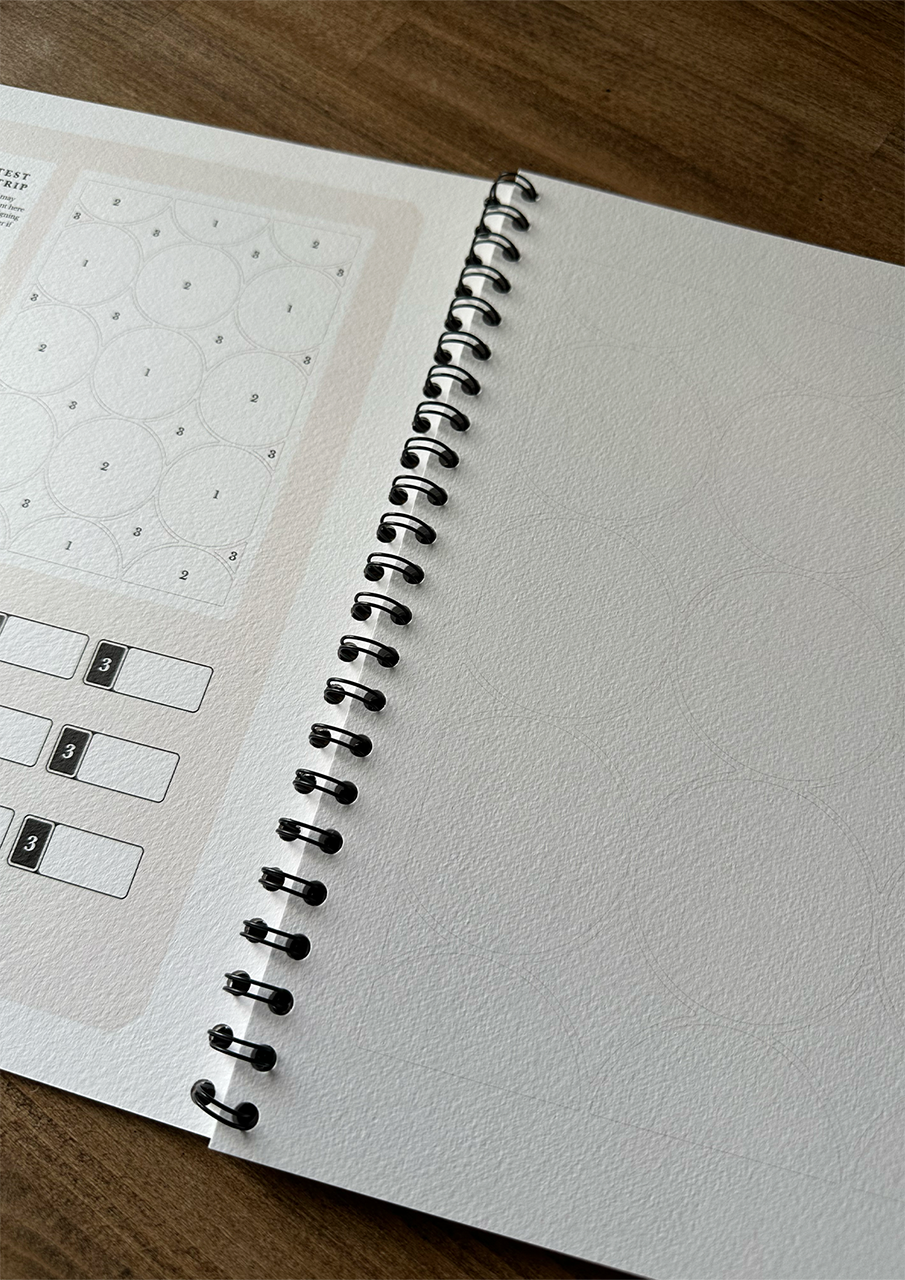 Studio Seconds - The Guided Illustrations