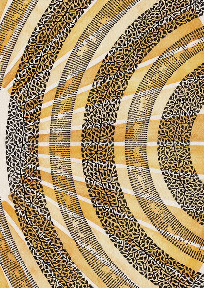 The Sun Daisy - Art Print