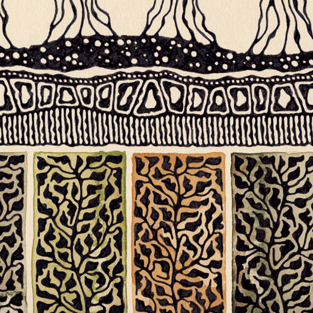 Illustration of autumn trees in black, brown and green on beige background