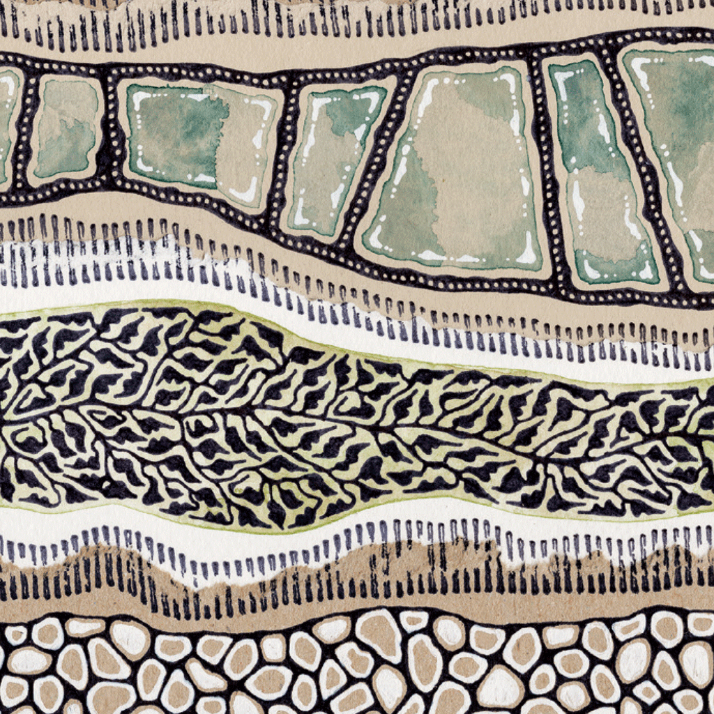 Illustration of cottages, rivers and hills in brown, blue and black