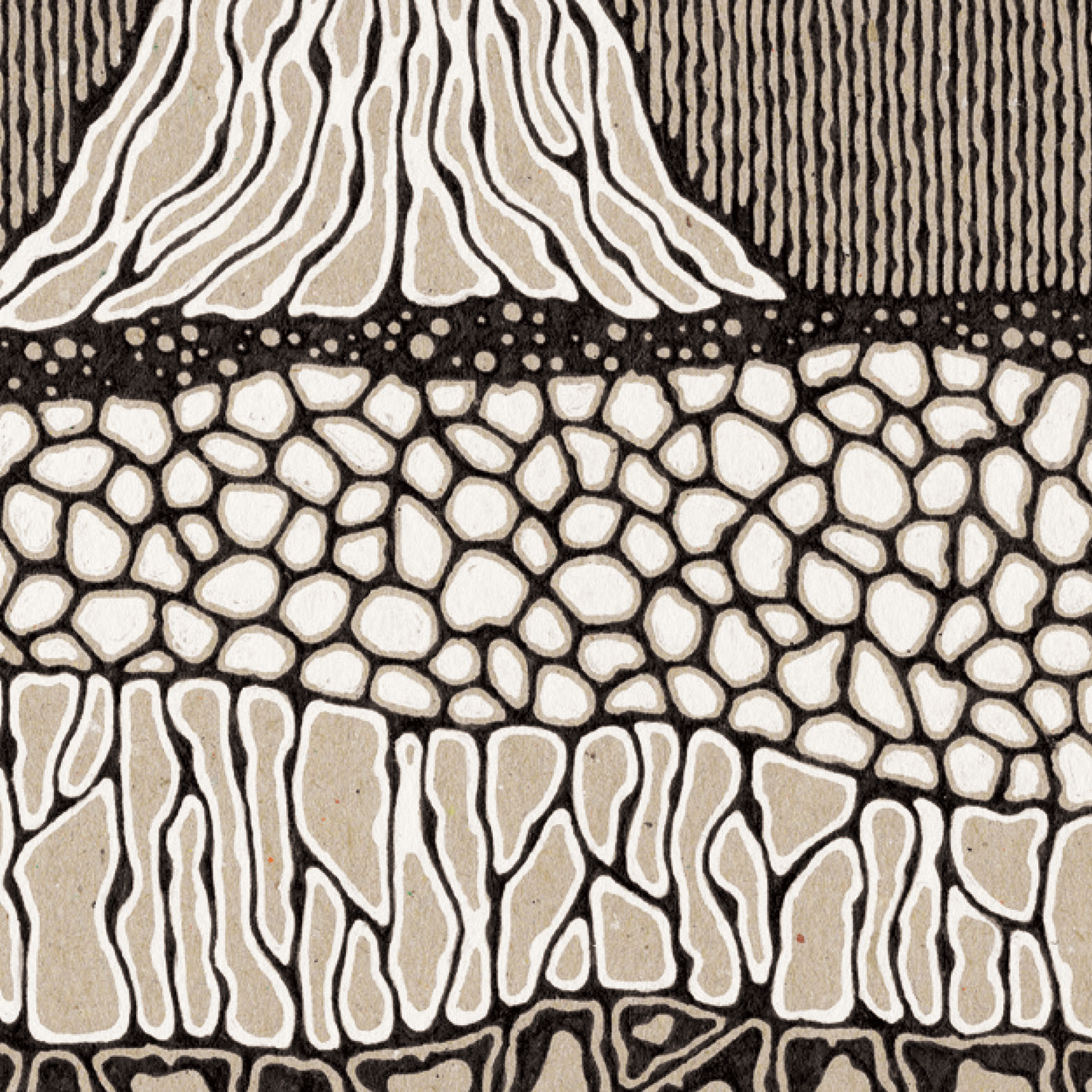 Tree illustration in black and brown and white