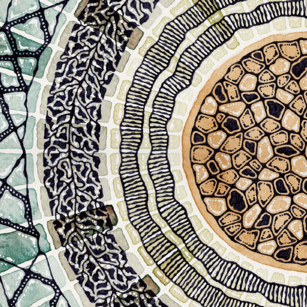 Colourful pattern art 